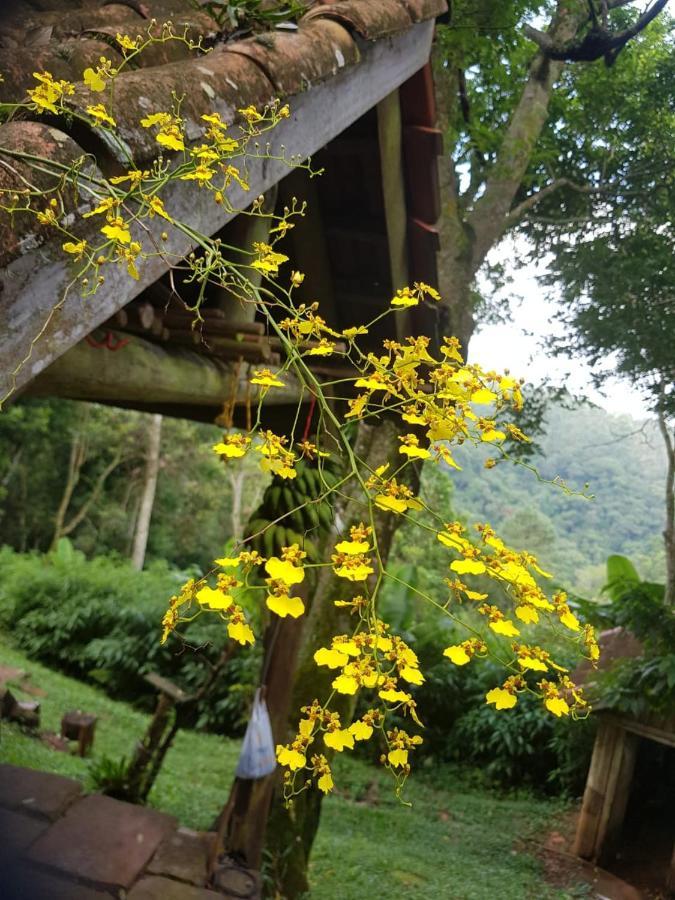 Cabana No Itaimbezinho 大普拉亚 外观 照片